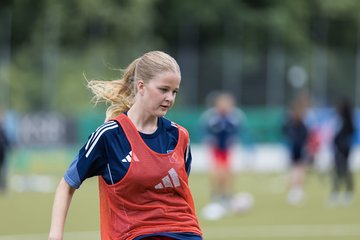 Bild 162 - wBJ Hamburger SV - FC Suederelbe : Ergebnis: 9:0